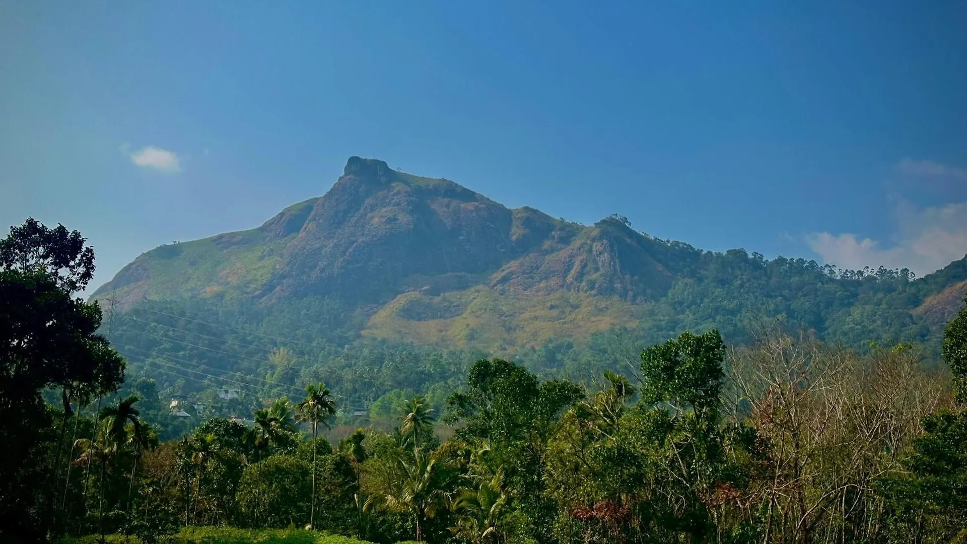 Morning Hills Βίλα Munnar Ινδία