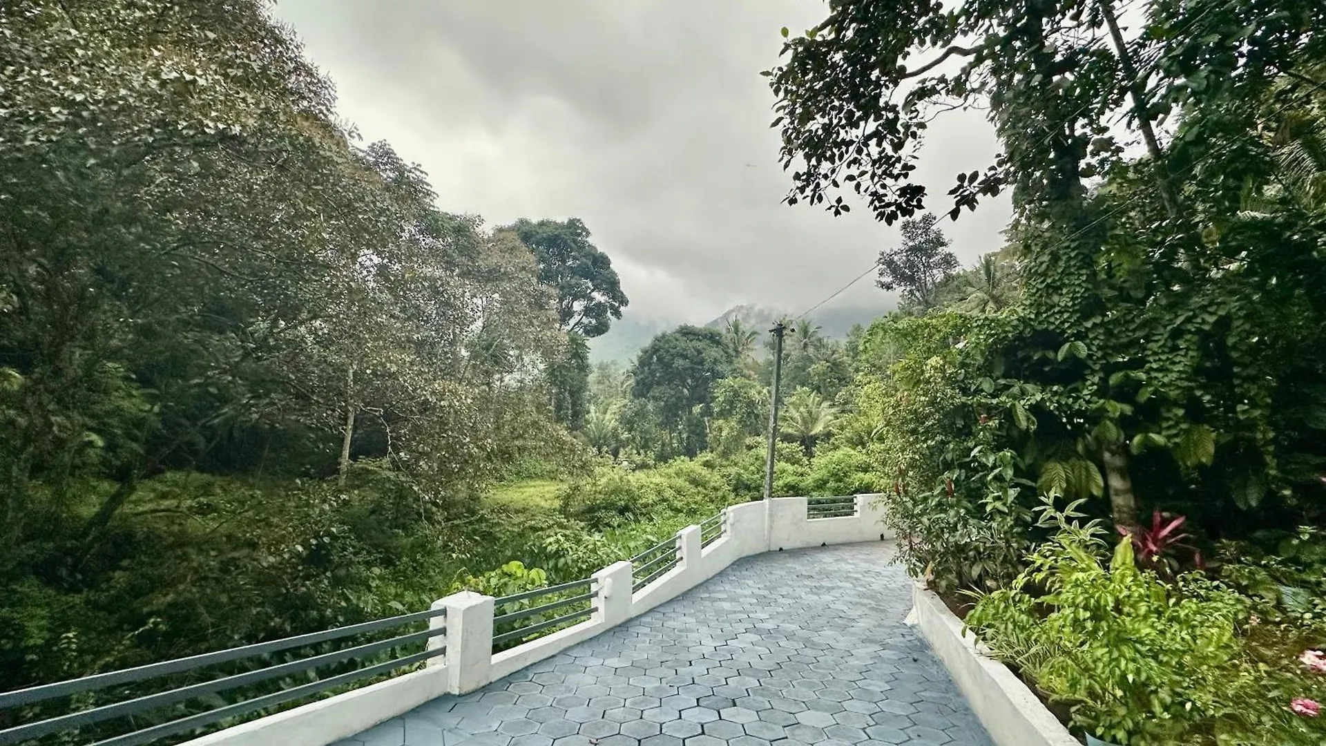 Morning Hills Βίλα Munnar