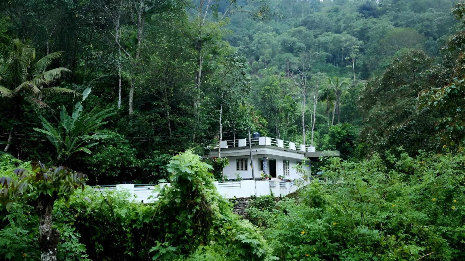 Morning Hills Βίλα Munnar